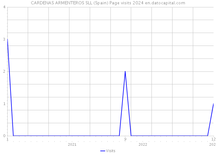 CARDENAS ARMENTEROS SLL (Spain) Page visits 2024 