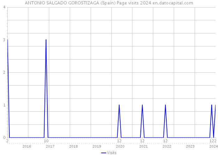 ANTONIO SALGADO GOROSTIZAGA (Spain) Page visits 2024 