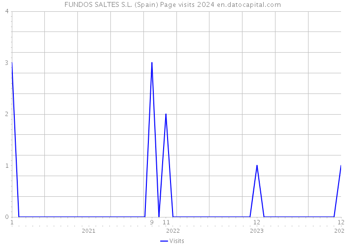 FUNDOS SALTES S.L. (Spain) Page visits 2024 