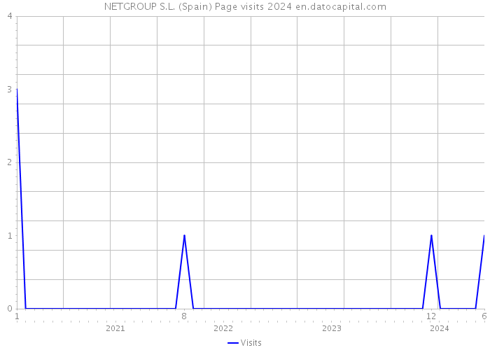 NETGROUP S.L. (Spain) Page visits 2024 