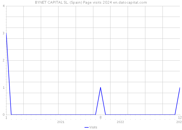 BYNET CAPITAL SL. (Spain) Page visits 2024 