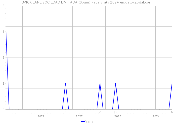 BRICK LANE SOCIEDAD LIMITADA (Spain) Page visits 2024 