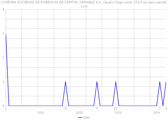 COSENSA SOCIEDAD DE INVERSION DE CAPITAL VARIABLE S.A. (Spain) Page visits 2024 