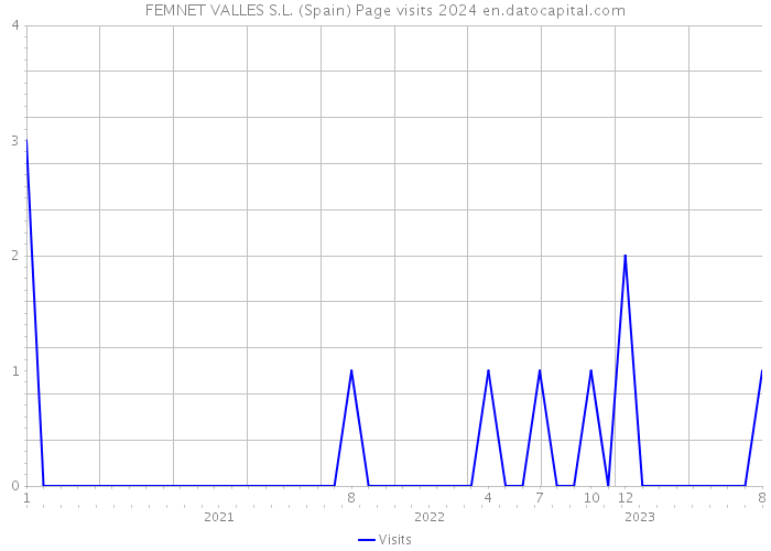 FEMNET VALLES S.L. (Spain) Page visits 2024 