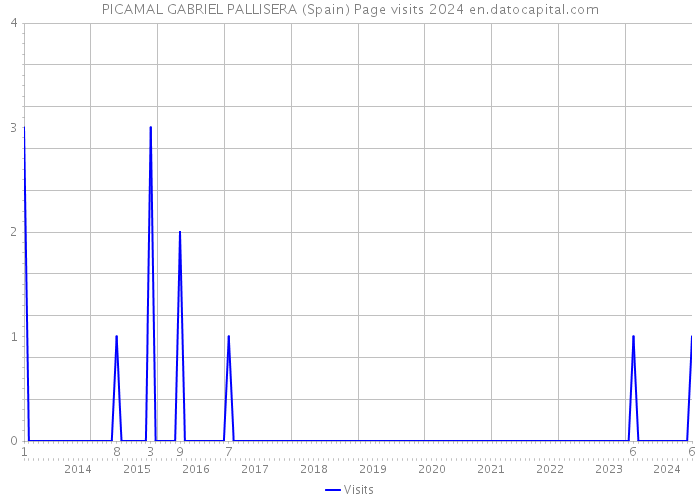 PICAMAL GABRIEL PALLISERA (Spain) Page visits 2024 