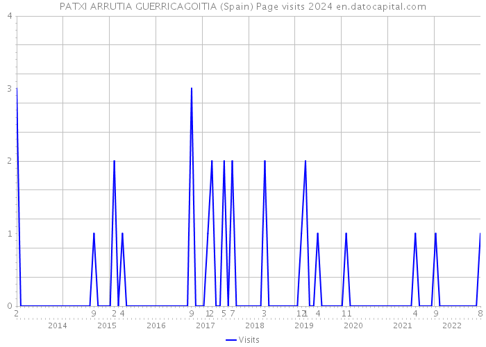 PATXI ARRUTIA GUERRICAGOITIA (Spain) Page visits 2024 