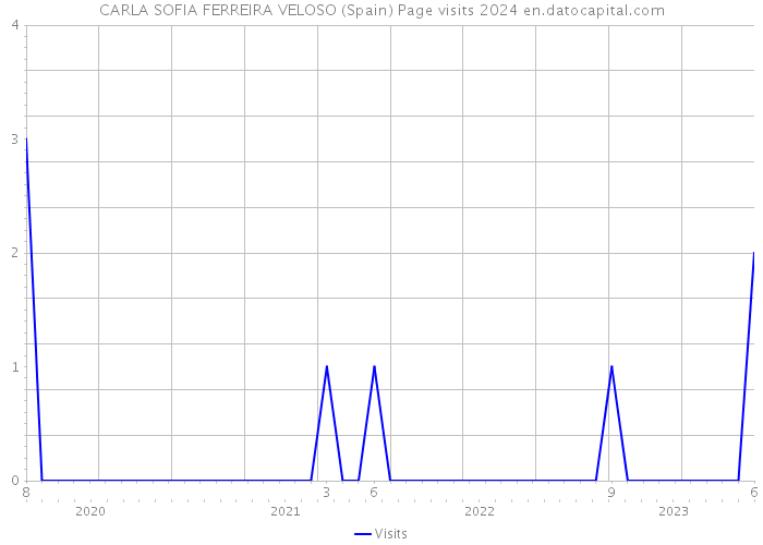 CARLA SOFIA FERREIRA VELOSO (Spain) Page visits 2024 