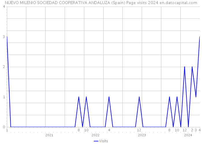 NUEVO MILENIO SOCIEDAD COOPERATIVA ANDALUZA (Spain) Page visits 2024 