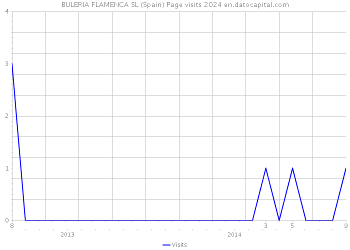 BULERIA FLAMENCA SL (Spain) Page visits 2024 