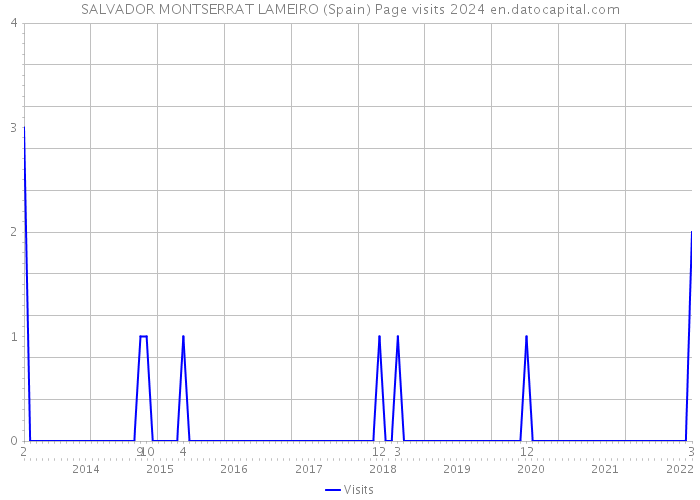 SALVADOR MONTSERRAT LAMEIRO (Spain) Page visits 2024 