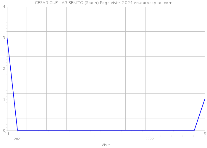 CESAR CUELLAR BENITO (Spain) Page visits 2024 
