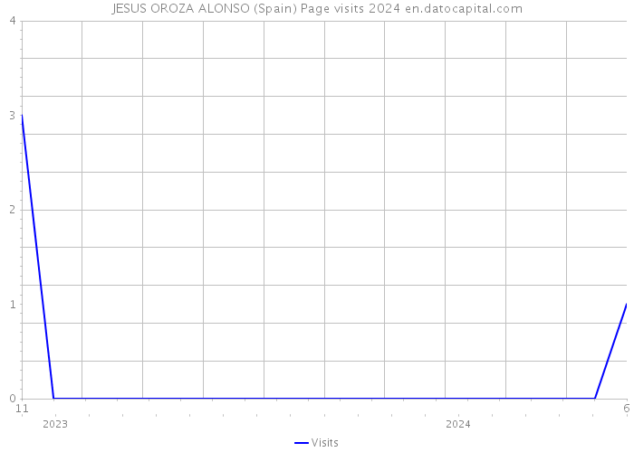 JESUS OROZA ALONSO (Spain) Page visits 2024 