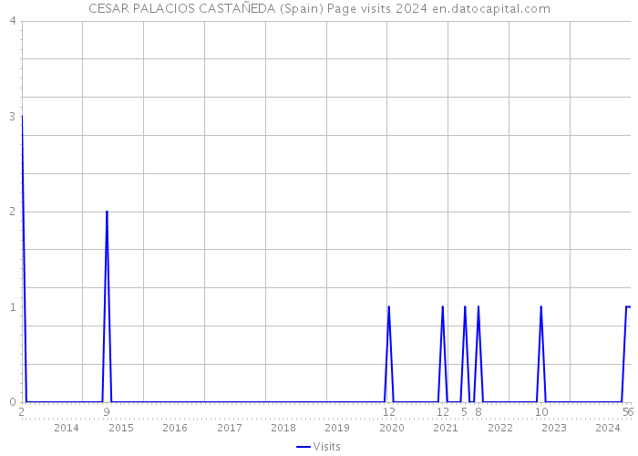 CESAR PALACIOS CASTAÑEDA (Spain) Page visits 2024 