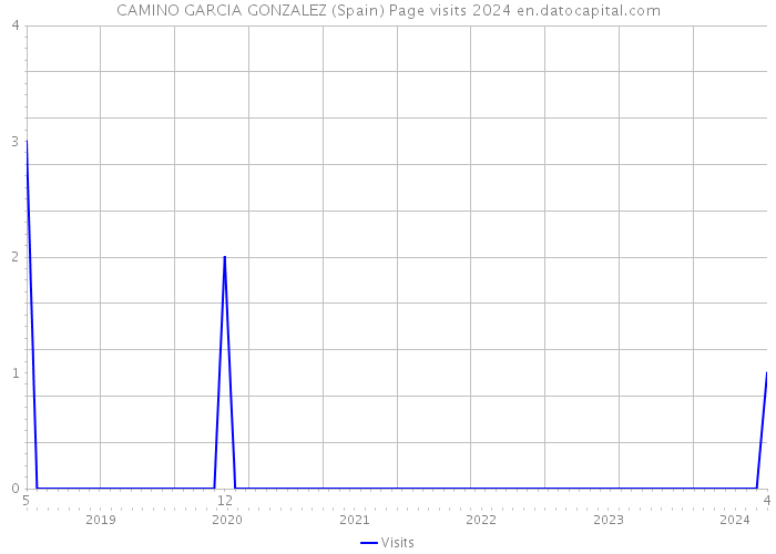 CAMINO GARCIA GONZALEZ (Spain) Page visits 2024 