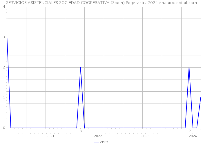 SERVICIOS ASISTENCIALES SOCIEDAD COOPERATIVA (Spain) Page visits 2024 