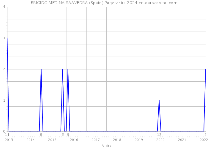 BRIGIDO MEDINA SAAVEDRA (Spain) Page visits 2024 