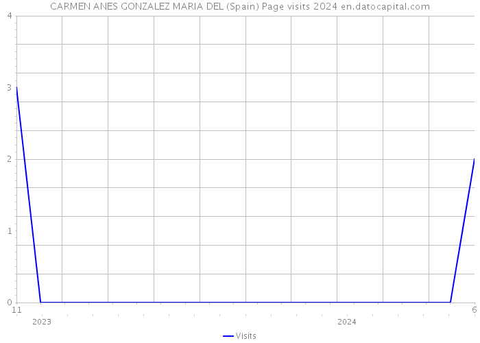 CARMEN ANES GONZALEZ MARIA DEL (Spain) Page visits 2024 