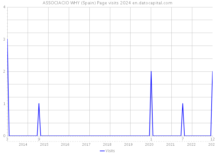 ASSOCIACIO WHY (Spain) Page visits 2024 