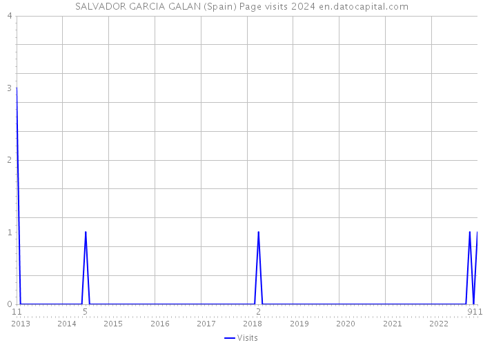 SALVADOR GARCIA GALAN (Spain) Page visits 2024 