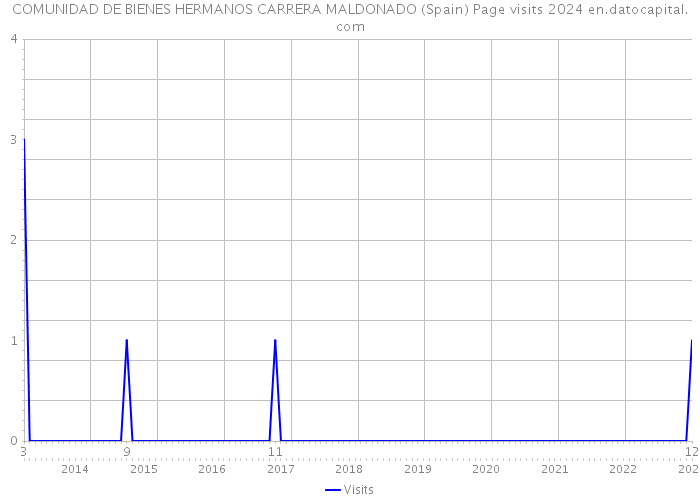 COMUNIDAD DE BIENES HERMANOS CARRERA MALDONADO (Spain) Page visits 2024 