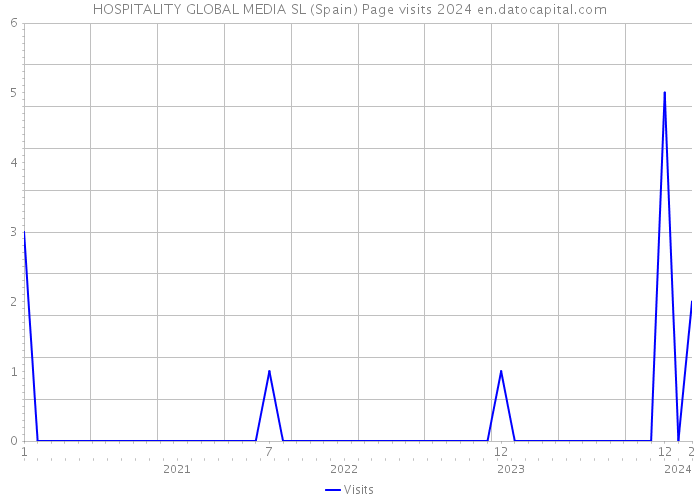 HOSPITALITY GLOBAL MEDIA SL (Spain) Page visits 2024 