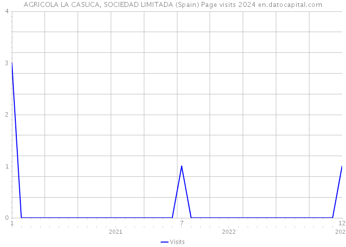 AGRICOLA LA CASUCA, SOCIEDAD LIMITADA (Spain) Page visits 2024 
