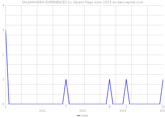 SALAMANDRA EXPERIENCES S.L (Spain) Page visits 2024 