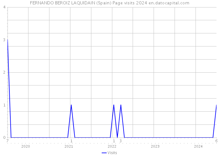 FERNANDO BEROIZ LAQUIDAIN (Spain) Page visits 2024 