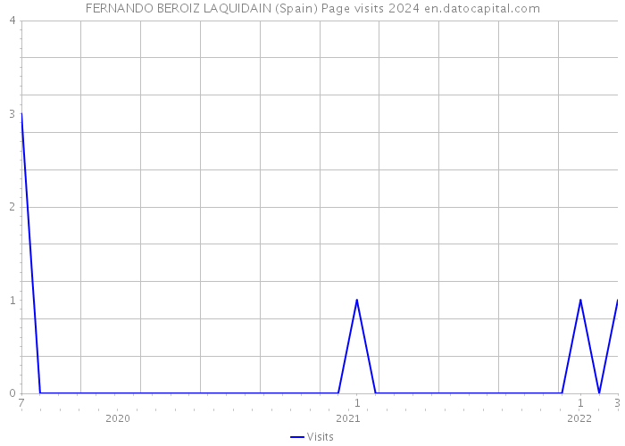 FERNANDO BEROIZ LAQUIDAIN (Spain) Page visits 2024 