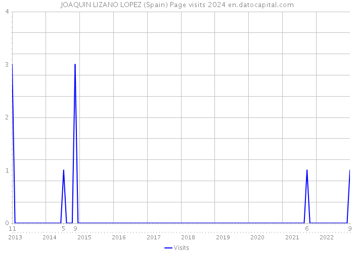 JOAQUIN LIZANO LOPEZ (Spain) Page visits 2024 