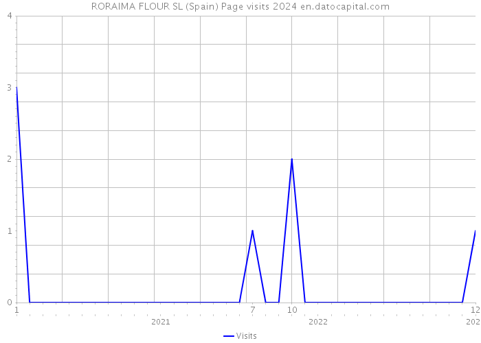 RORAIMA FLOUR SL (Spain) Page visits 2024 