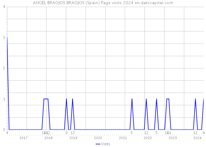 ANGEL BRAOJOS BRAOJOS (Spain) Page visits 2024 