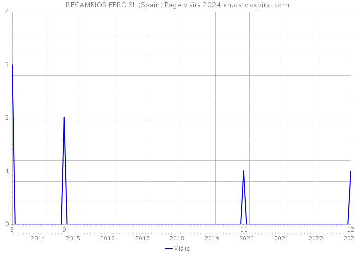 RECAMBIOS EBRO SL (Spain) Page visits 2024 