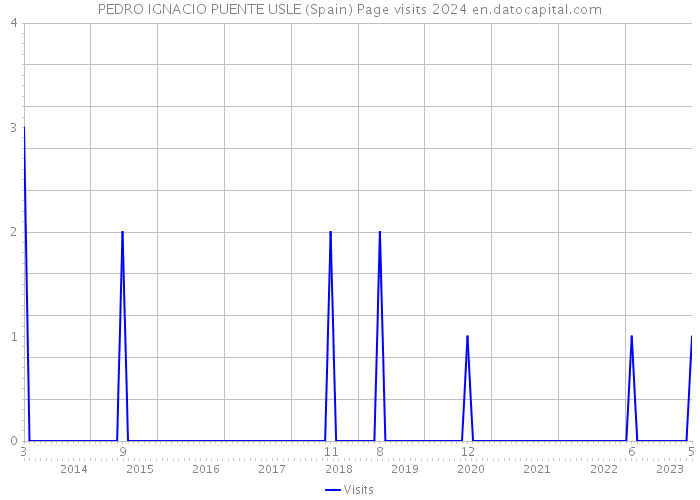 PEDRO IGNACIO PUENTE USLE (Spain) Page visits 2024 