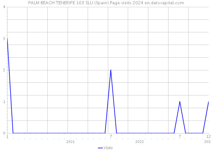  PALM BEACH TENERIFE 163 SLU (Spain) Page visits 2024 