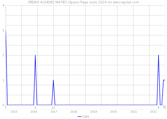 PEDRO AGUDIEZ MATEY (Spain) Page visits 2024 