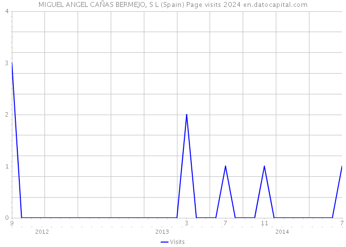 MIGUEL ANGEL CAÑAS BERMEJO, S L (Spain) Page visits 2024 