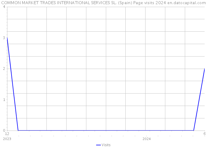 COMMON MARKET TRADES INTERNATIONAL SERVICES SL. (Spain) Page visits 2024 