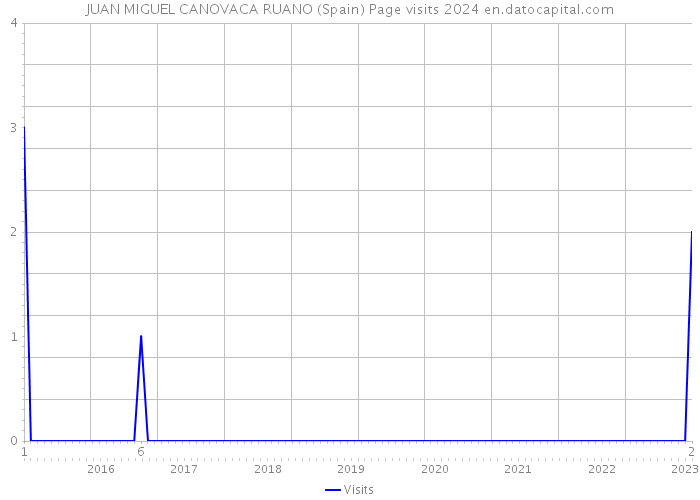 JUAN MIGUEL CANOVACA RUANO (Spain) Page visits 2024 