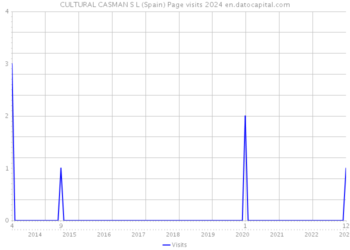 CULTURAL CASMAN S L (Spain) Page visits 2024 