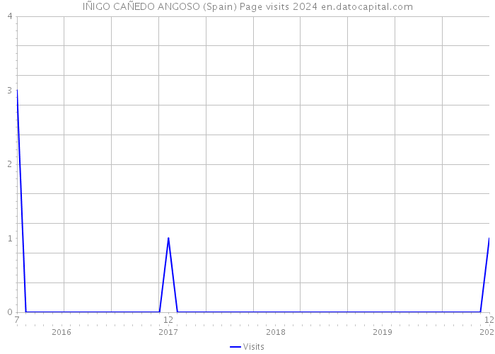 IÑIGO CAÑEDO ANGOSO (Spain) Page visits 2024 