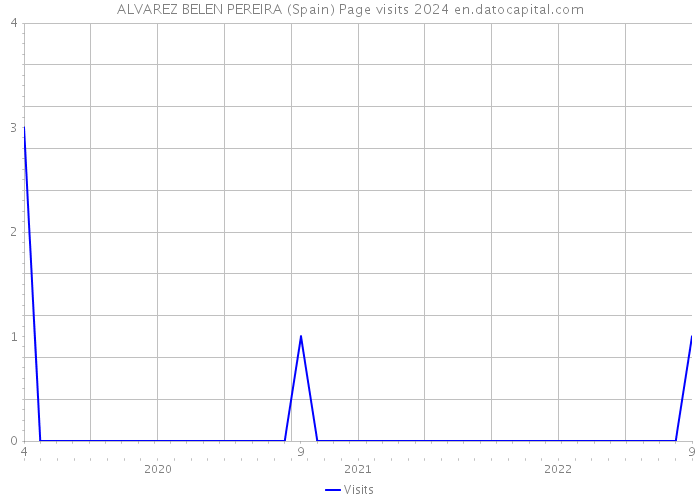 ALVAREZ BELEN PEREIRA (Spain) Page visits 2024 