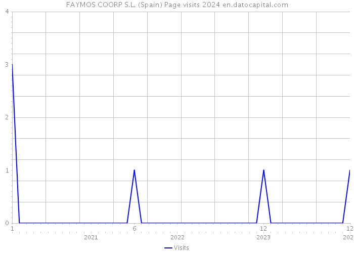 FAYMOS COORP S.L. (Spain) Page visits 2024 