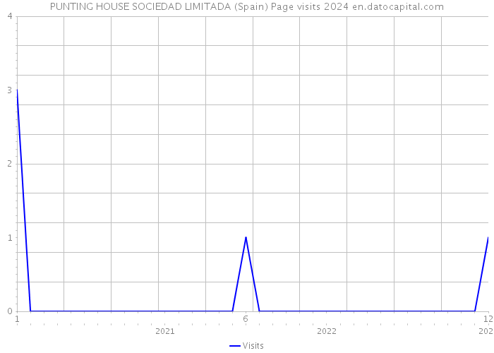 PUNTING HOUSE SOCIEDAD LIMITADA (Spain) Page visits 2024 