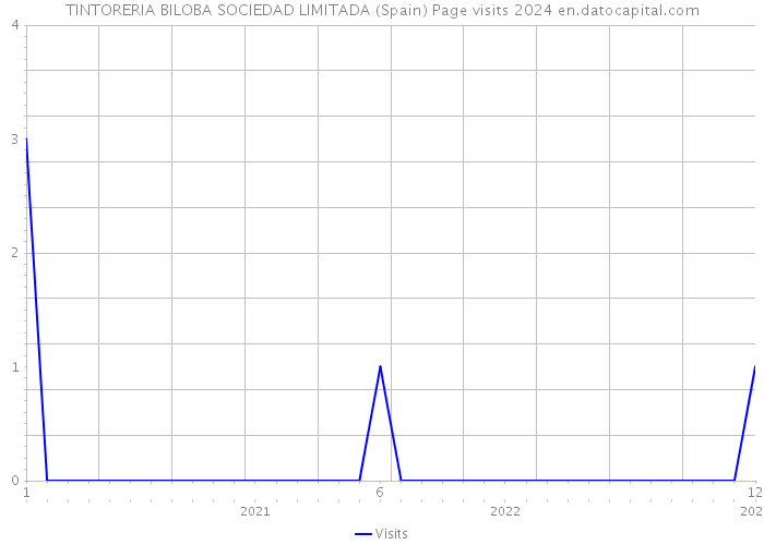 TINTORERIA BILOBA SOCIEDAD LIMITADA (Spain) Page visits 2024 