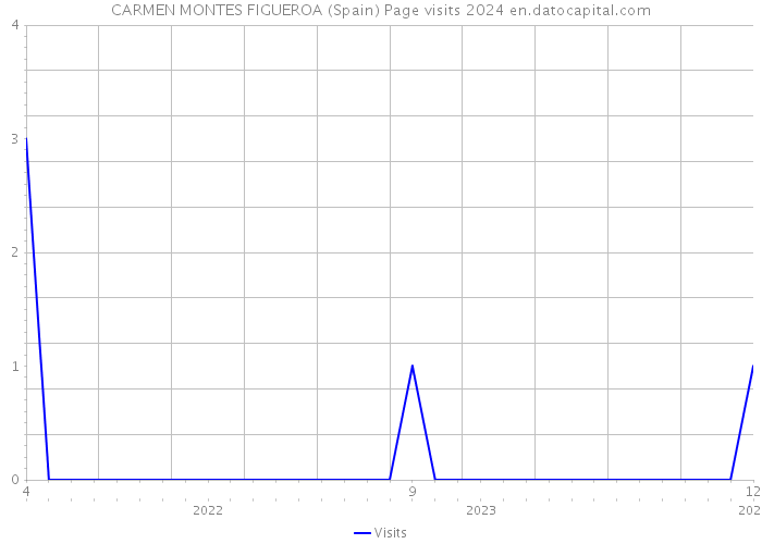 CARMEN MONTES FIGUEROA (Spain) Page visits 2024 