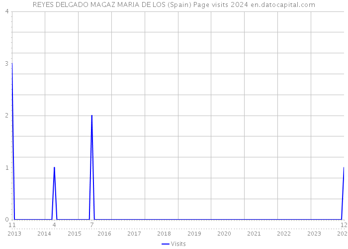 REYES DELGADO MAGAZ MARIA DE LOS (Spain) Page visits 2024 