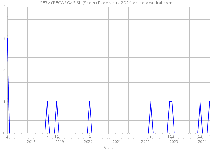 SERVYRECARGAS SL (Spain) Page visits 2024 