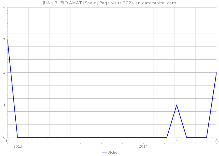 JUAN RUBIO AMAT (Spain) Page visits 2024 