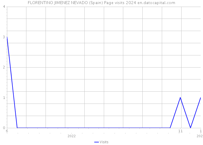 FLORENTINO JIMENEZ NEVADO (Spain) Page visits 2024 